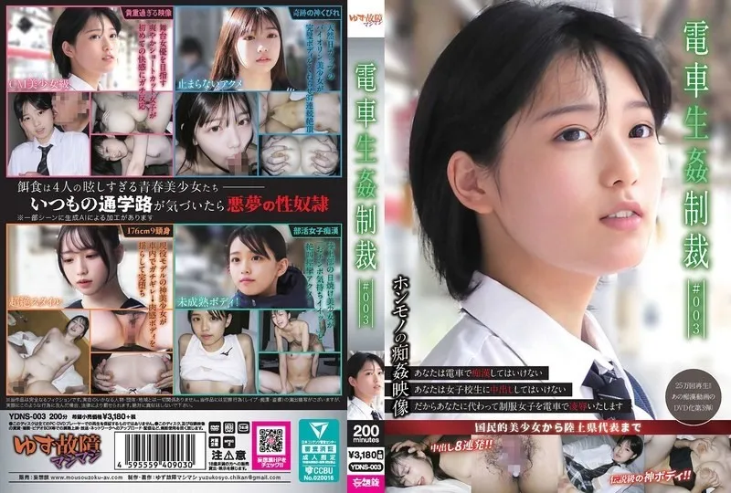 YDNS-003